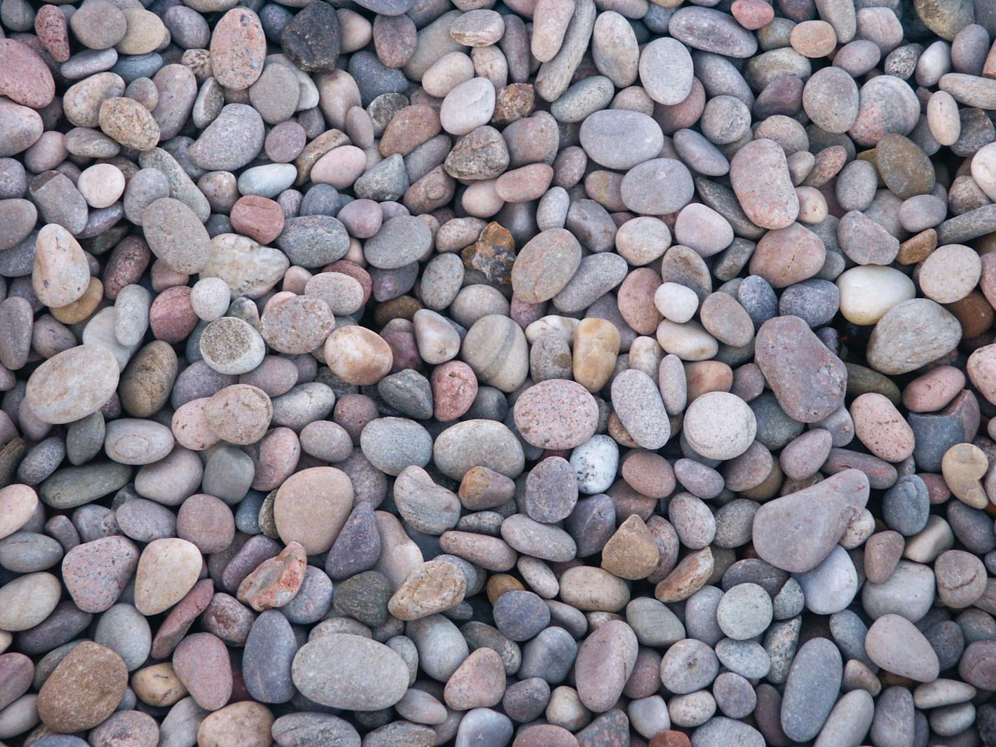 Scottish Pebbles 20-30mm - Bulk Bag